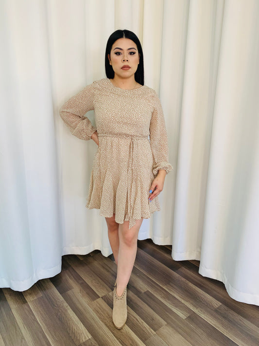 Fall Ready Dress